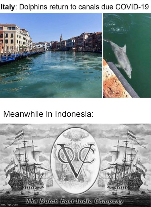 Guess who's back | Meanwhile in Indonesia: | image tagged in coronavirus,quarantine,indonesia | made w/ Imgflip meme maker