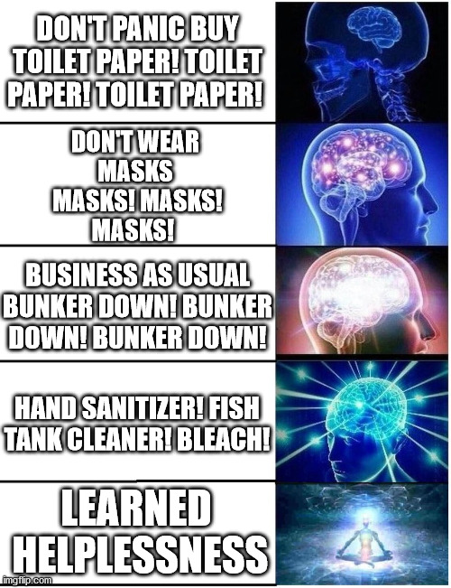 LEARNED HELPLESSNESS | DON'T PANIC BUY
TOILET PAPER! TOILET PAPER! TOILET PAPER! DON'T WEAR 
MASKS 
MASKS! MASKS!
MASKS! BUSINESS AS USUAL
BUNKER DOWN! BUNKER DOWN! BUNKER DOWN! HAND SANITIZER! FISH TANK CLEANER! BLEACH! LEARNED 
HELPLESSNESS | image tagged in expanding brain 5 panel,learned helplessness | made w/ Imgflip meme maker