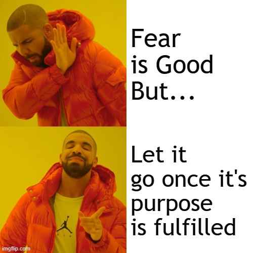 Drake Hotline Bling | Fear is Good
But... Let it go once it's purpose is fulfilled | image tagged in memes,drake hotline bling | made w/ Imgflip meme maker