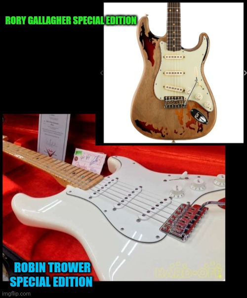 RORY GALLAGHER SPECIAL EDITION ROBIN TROWER SPECIAL EDITION | made w/ Imgflip meme maker