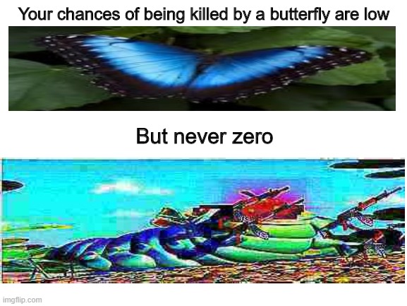 butterBYES (i'm sorry) | Your chances of being killed by a butterfly are low; But never zero | image tagged in blank white template,memes,butterflies,deep fried | made w/ Imgflip meme maker