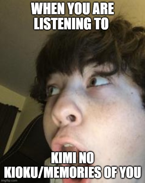 WHEN YOU ARE LISTENING TO; KIMI NO KIOKU/MEMORIES OF YOU | image tagged in OkBuddyPersona | made w/ Imgflip meme maker