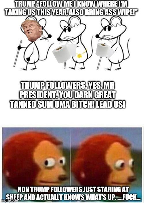 Sheep's | TRUMP,"FOLLOW ME I KNOW WHERE I'M TAKING US THIS YEAR, ALSO BRING ASS WIPE!"; TRUMP FOLLOWERS. YES, MR PRESIDENT. YOU DARN GREAT TANNED SUM UMA BITCH! LEAD US! NON TRUMP FOLLOWERS JUST STARING AT SHEEP AND ACTUALLY KNOWS WHAT'S UP. ....FUCK... | image tagged in memes,donald trump | made w/ Imgflip meme maker