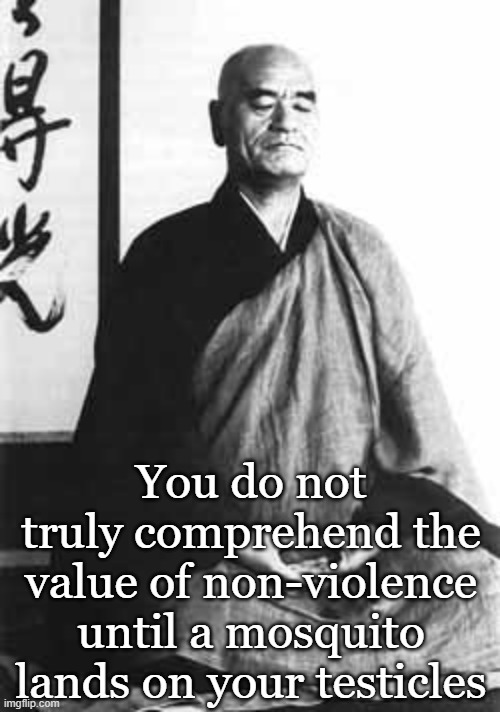 Zen master | You do not truly comprehend the value of non-violence until a mosquito lands on your testicles | image tagged in zen master | made w/ Imgflip meme maker