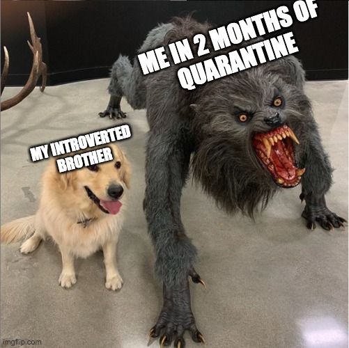 dog vs werewolf | ME IN 2 MONTHS OF
QUARANTINE; MY INTROVERTED
BROTHER | image tagged in dog vs werewolf | made w/ Imgflip meme maker