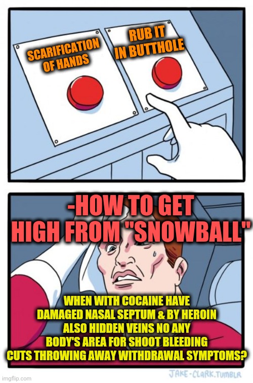 -Left or right flashing LED point for press over worries of choice. | RUB IT IN BUTTHOLE; SCARIFICATION OF HANDS; -HOW TO GET HIGH FROM "SNOWBALL"; WHEN WITH COCAINE HAVE DAMAGED NASAL SEPTUM & BY HEROIN ALSO HIDDEN VEINS NO ANY BODY'S AREA FOR SHOOT BLEEDING CUTS THROWING AWAY WITHDRAWAL SYMPTOMS? | image tagged in memes,two buttons,snowball,i didnt choose the thug life,scar,don't do drugs | made w/ Imgflip meme maker