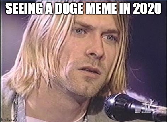 Kurt Cobain shut up | SEEING A DOGE MEME IN 2020 | image tagged in kurt cobain shut up | made w/ Imgflip meme maker