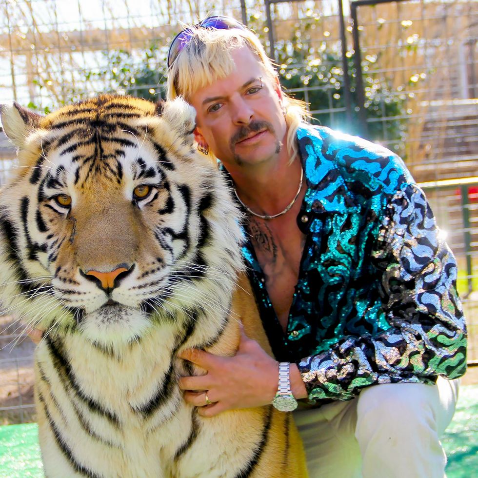 High Quality Joe Exotic birthday Blank Meme Template