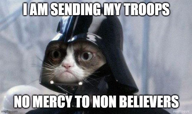 Grumpy Cat Star Wars Meme | I AM SENDING MY TROOPS; NO MERCY TO NON BELIEVERS | image tagged in memes,grumpy cat star wars,grumpy cat | made w/ Imgflip meme maker