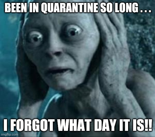 Scared Gollum | BEEN IN QUARANTINE SO LONG . . . I FORGOT WHAT DAY IT IS!! | image tagged in scared gollum | made w/ Imgflip meme maker