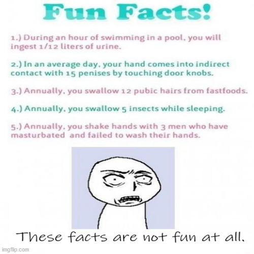 Fun Facts! | image tagged in fun,funny,memes,lolz | made w/ Imgflip meme maker