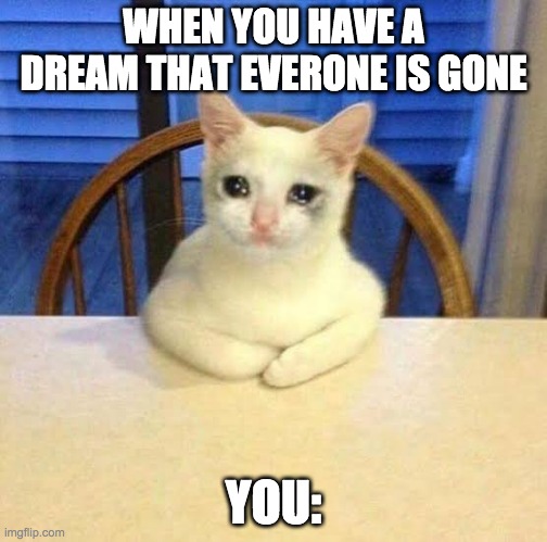 Crying cat on table | WHEN YOU HAVE A DREAM THAT EVERONE IS GONE; YOU: | image tagged in crying cat on table | made w/ Imgflip meme maker