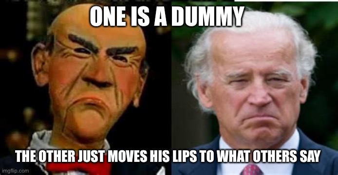 Pair of Dummies | ONE IS A DUMMY; THE OTHER JUST MOVES HIS LIPS TO WHAT OTHERS SAY | image tagged in pair of dummies,biden,democrats,dummy | made w/ Imgflip meme maker