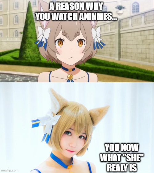 Felix | A REASON WHY YOU WATCH ANINMES... YOU NOW WHAT "SHE" REALY IS | image tagged in trap,anime,felix,re zero | made w/ Imgflip meme maker