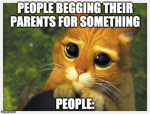 Shrek Cat Meme | PEOPLE BEGGING THEIR PARENTS FOR SOMETHING; PEOPLE: | image tagged in memes,shrek cat | made w/ Imgflip meme maker