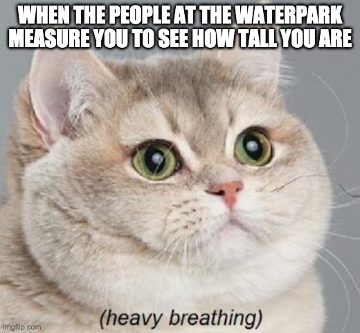 Heavy Breathing Cat Meme - Imgflip