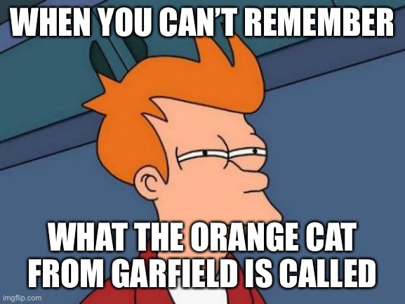 Futurama Fry | WHEN YOU CAN’T REMEMBER; WHAT THE ORANGE CAT FROM GARFIELD IS CALLED | image tagged in memes,futurama fry | made w/ Imgflip meme maker