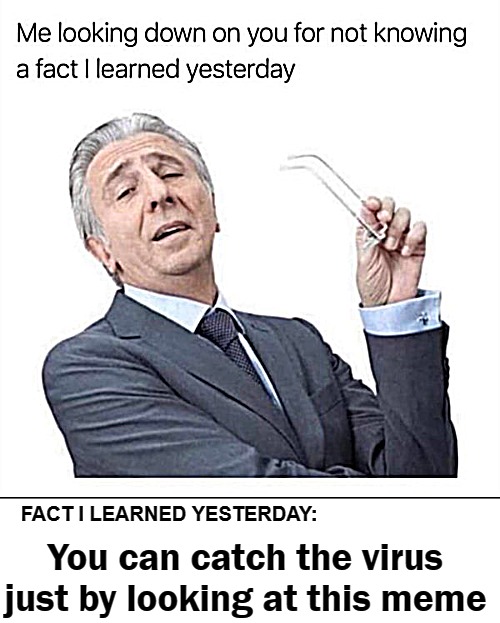 FACT I LEARNED YESTERDAY:; You can catch the virus just by looking at this meme | image tagged in virus | made w/ Imgflip meme maker
