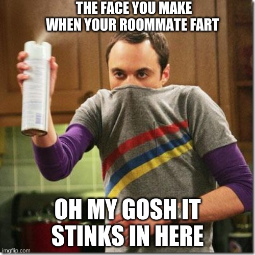 air freshener sheldon cooper | THE FACE YOU MAKE WHEN YOUR ROOMMATE FART; OH MY GOSH IT STINKS IN HERE | image tagged in air freshener sheldon cooper | made w/ Imgflip meme maker