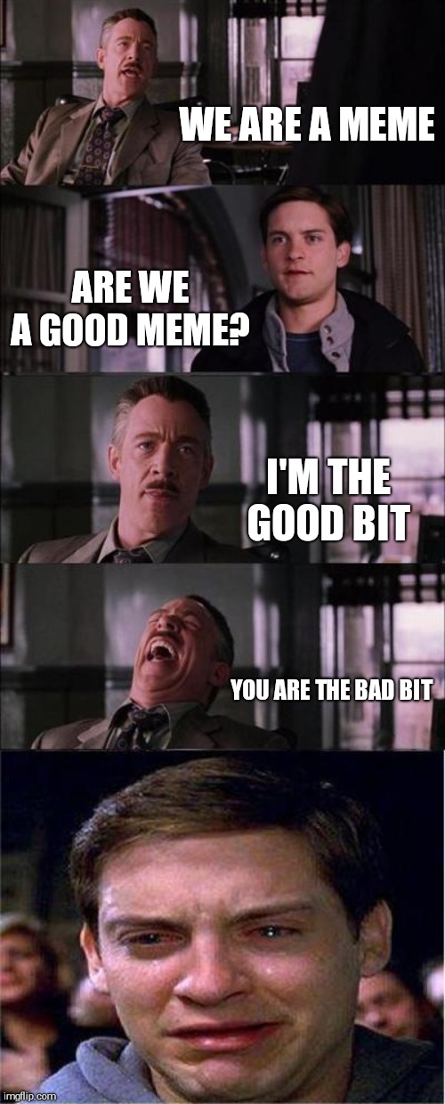 Peter Parker Cry | WE ARE A MEME; ARE WE A GOOD MEME? I'M THE GOOD BIT; YOU ARE THE BAD BIT | image tagged in memes,peter parker cry | made w/ Imgflip meme maker