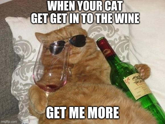 Funny Cat Birthday | WHEN YOUR CAT GET GET IN TO THE WINE; GET ME MORE | image tagged in funny cat birthday | made w/ Imgflip meme maker