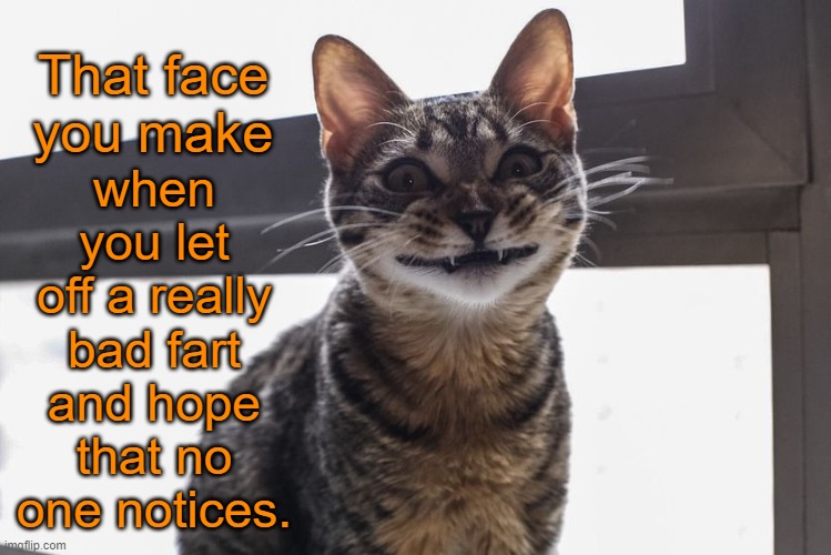 GrinnCat | when you let off a really bad fart and hope that no one notices. That face you make | image tagged in grinning cat,memes,that face you make when,that face you make | made w/ Imgflip meme maker