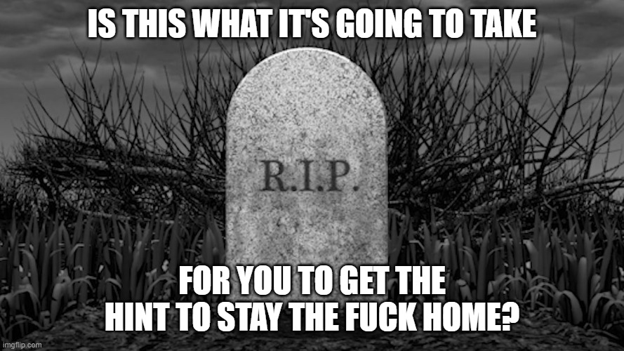 Get the hint now? | IS THIS WHAT IT'S GOING TO TAKE; FOR YOU TO GET THE HINT TO STAY THE FUCK HOME? | image tagged in covid-19,stay home,losing someone,thick headed | made w/ Imgflip meme maker