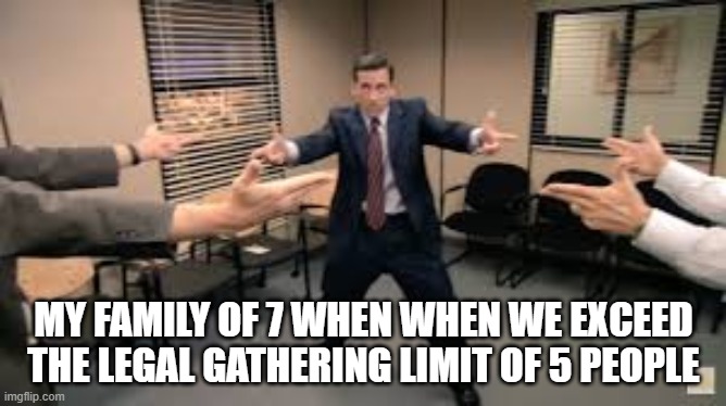 MY FAMILY OF 7 WHEN WHEN WE EXCEED THE LEGAL GATHERING LIMIT OF 5 PEOPLE | image tagged in social distancing,family,meme | made w/ Imgflip meme maker