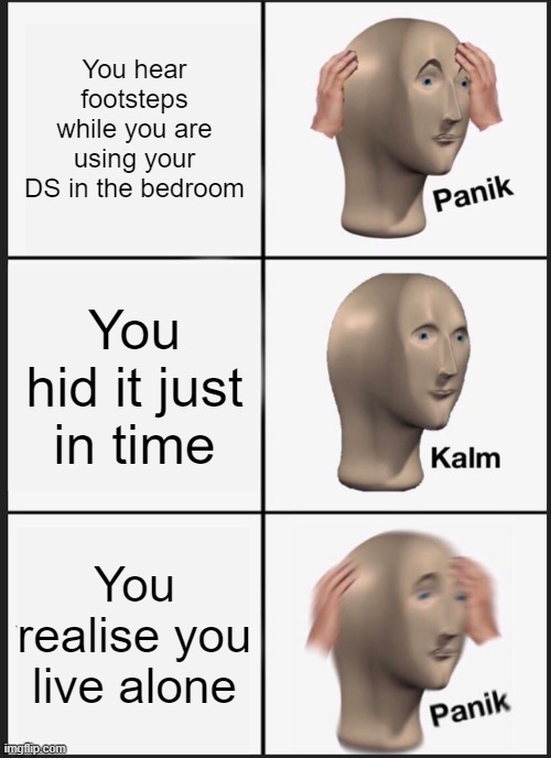 Panik Kalm Panik | You hear footsteps while you are using your DS in the bedroom; You hid it just in time; You realise you live alone | image tagged in memes,panik kalm panik | made w/ Imgflip meme maker