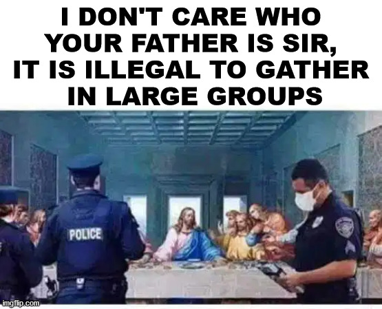 I DON'T CARE WHO YOUR FATHER IS SIR, IT IS ILLEGAL TO GATHER
 IN LARGE GROUPS | made w/ Imgflip meme maker