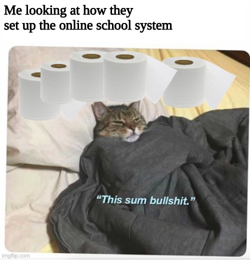 This sum bullshit cat | Me looking at how they set up the online school system | image tagged in this sum bullshit cat | made w/ Imgflip meme maker