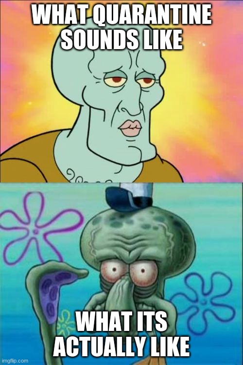 Squidward Meme | WHAT QUARANTINE SOUNDS LIKE; WHAT ITS ACTUALLY LIKE | image tagged in memes,squidward | made w/ Imgflip meme maker