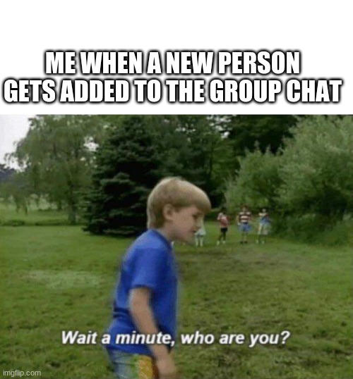 Wait a minute, who are you? | ME WHEN A NEW PERSON GETS ADDED TO THE GROUP CHAT | image tagged in wait a minute who are you | made w/ Imgflip meme maker