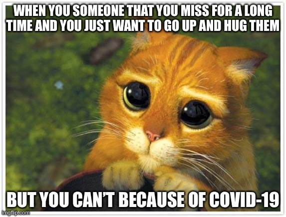 Shrek Cat Meme | WHEN YOU SOMEONE THAT YOU MISS FOR A LONG TIME AND YOU JUST WANT TO GO UP AND HUG THEM; BUT YOU CAN’T BECAUSE OF COVID-19 | image tagged in memes,shrek cat | made w/ Imgflip meme maker