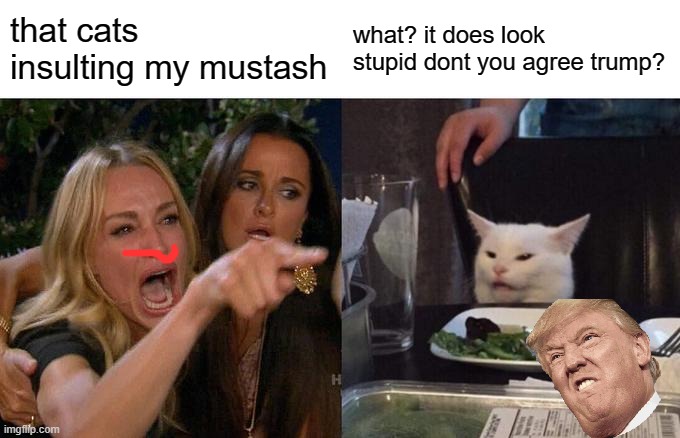 Woman Yelling At Cat Meme | that cats insulting my mustash; what? it does look stupid dont you agree trump? | image tagged in memes,woman yelling at cat | made w/ Imgflip meme maker