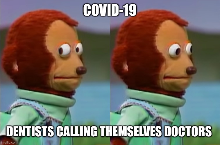 puppet Monkey looking away | COVID-19; DENTISTS CALLING THEMSELVES DOCTORS | image tagged in puppet monkey looking away | made w/ Imgflip meme maker