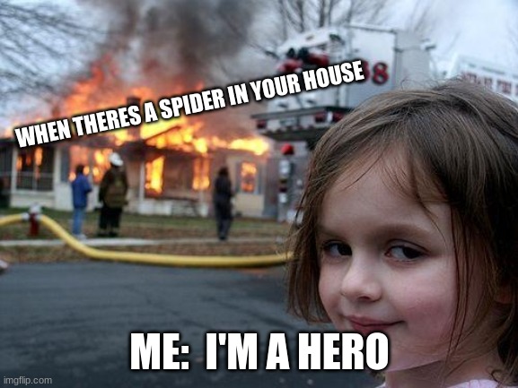 Disaster Girl Meme | WHEN THERES A SPIDER IN YOUR HOUSE; ME:  I'M A HERO | image tagged in memes,disaster girl | made w/ Imgflip meme maker