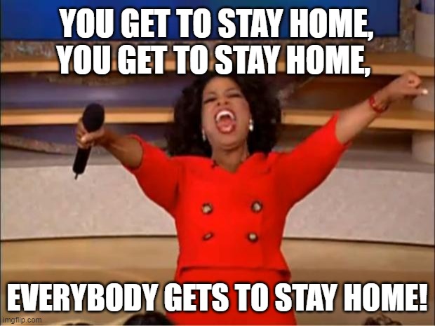 Oprah You Get A Meme | YOU GET TO STAY HOME, YOU GET TO STAY HOME, EVERYBODY GETS TO STAY HOME! | image tagged in memes,oprah you get a | made w/ Imgflip meme maker