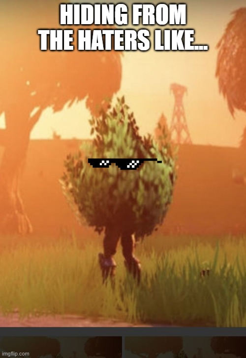 Fortnite bush |  HIDING FROM THE HATERS LIKE... | image tagged in fortnite bush | made w/ Imgflip meme maker