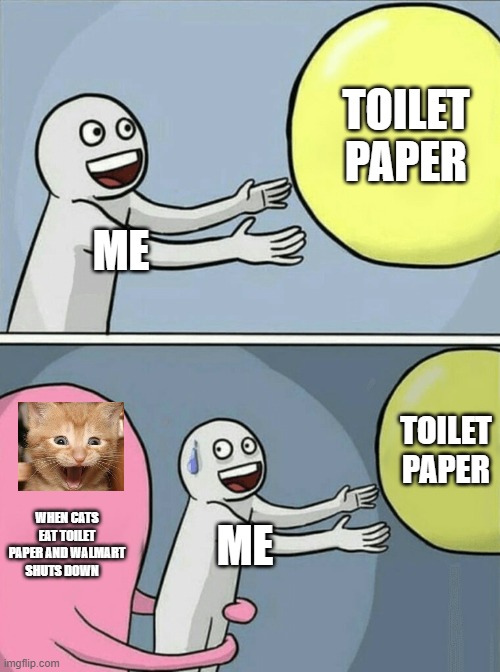 Running Away Balloon Meme | TOILET PAPER; ME; TOILET PAPER; WHEN CATS EAT TOILET PAPER AND WALMART SHUTS DOWN; ME | image tagged in memes,running away balloon | made w/ Imgflip meme maker