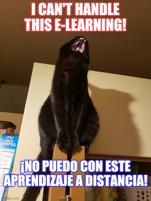 I can't handle this e-learning! | I CAN'T HANDLE THIS E-LEARNING! ¡NO PUEDO CON ESTE APRENDIZAJE A DISTANCIA! | image tagged in i can't handle this e-learning | made w/ Imgflip meme maker