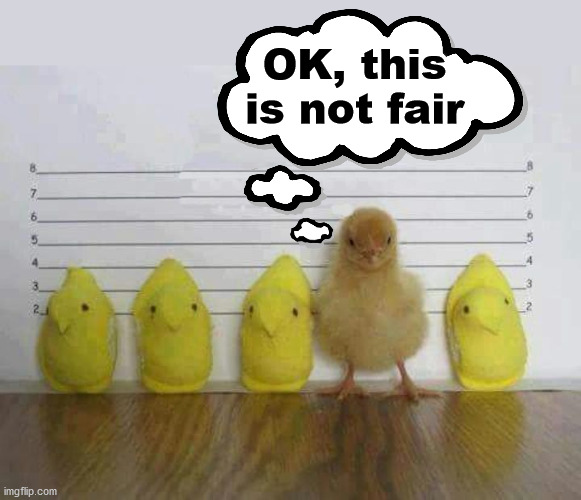 During the Easter season be careful when committing any crime | OK, this is not fair | image tagged in easter,peeps,police | made w/ Imgflip meme maker