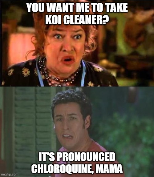 Waterboy Argument | YOU WANT ME TO TAKE
KOI CLEANER? IT'S PRONOUNCED
CHLOROQUINE, MAMA | image tagged in waterboy argument | made w/ Imgflip meme maker