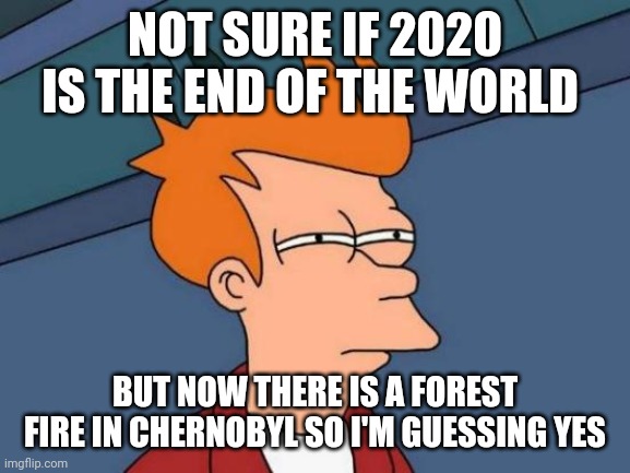 Futurama Fry Meme | NOT SURE IF 2020 IS THE END OF THE WORLD; BUT NOW THERE IS A FOREST FIRE IN CHERNOBYL SO I'M GUESSING YES | image tagged in memes,futurama fry | made w/ Imgflip meme maker