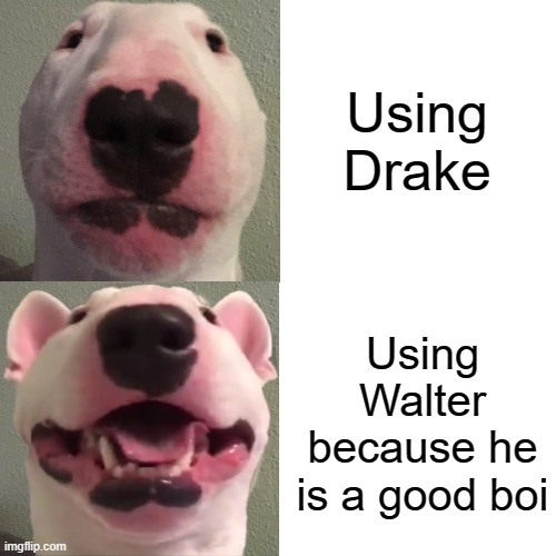 Using Drake; Using Walter because he is a good boi | image tagged in walter | made w/ Imgflip meme maker