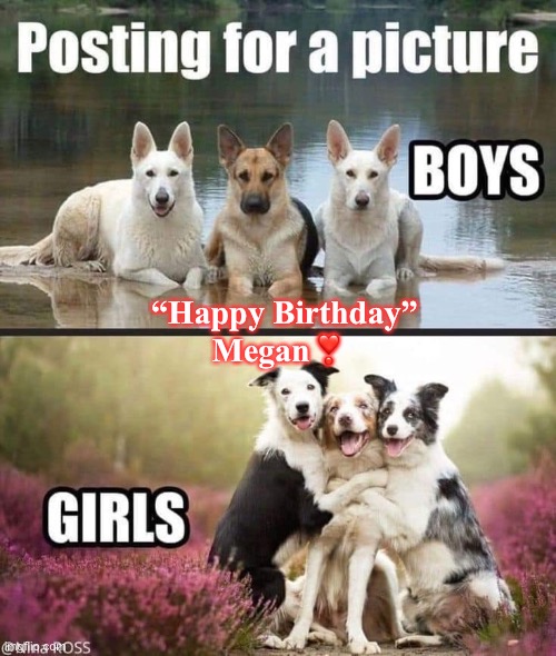 Birthday | “Happy Birthday”; Megan❣️ | image tagged in dogs | made w/ Imgflip meme maker