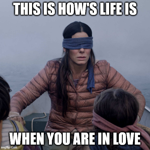 Bird Box | THIS IS HOW'S LIFE IS; WHEN YOU ARE IN LOVE | image tagged in memes,bird box | made w/ Imgflip meme maker