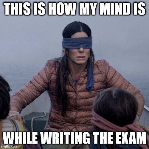 Bird Box | THIS IS HOW MY MIND IS; WHILE WRITING THE EXAM | image tagged in memes,bird box | made w/ Imgflip meme maker