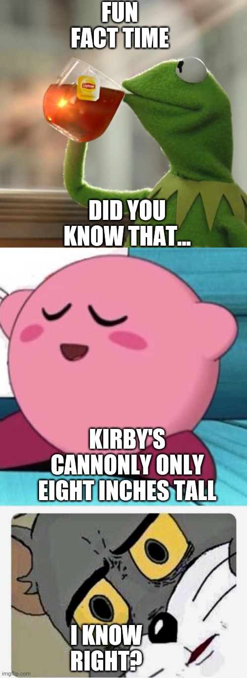 FUN FACT TIME; DID YOU KNOW THAT... KIRBY'S CANNONLY ONLY EIGHT INCHES TALL; I KNOW RIGHT? | image tagged in memes,but that's none of my business,kirby sign,disturbed tom | made w/ Imgflip meme maker