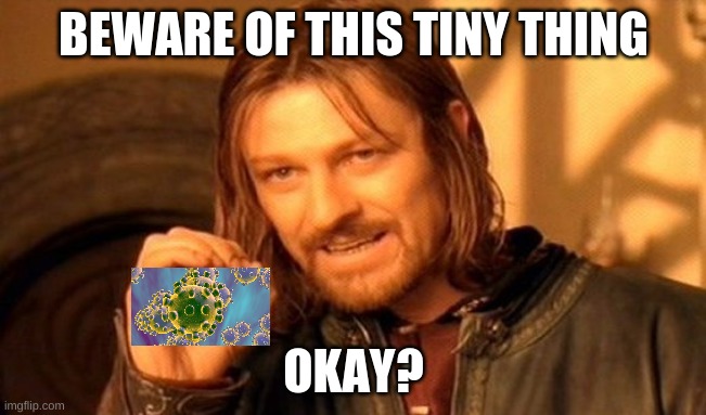 One Does Not Simply | BEWARE OF THIS TINY THING; OKAY? | image tagged in memes,one does not simply | made w/ Imgflip meme maker